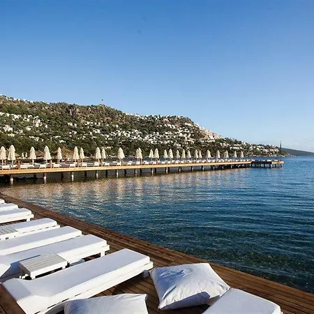 Voyage ゴルトゥルブク