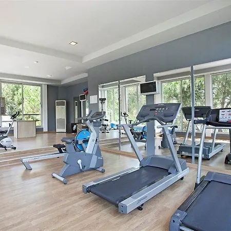 Voyage ゴルトゥルブク