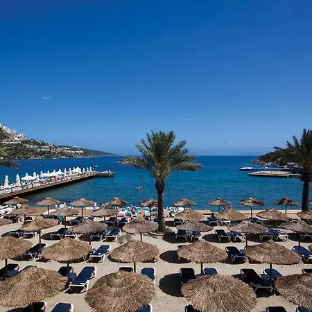 Voyage ゴルトゥルブク