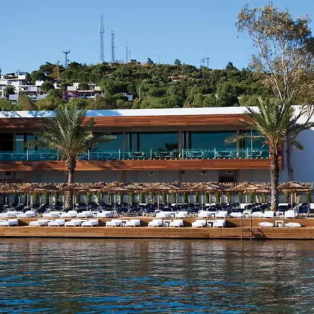 Voyage 5*