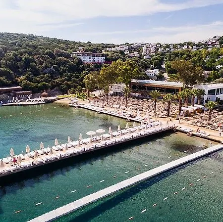 Voyage 5* Golturkbuku