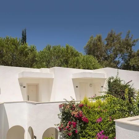 Otel Voyage 5*