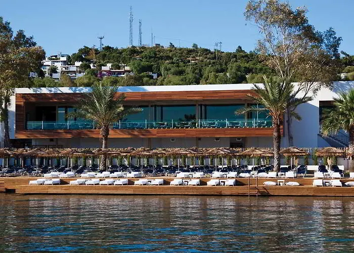 Voyage 5*